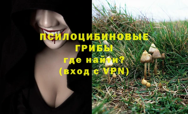 спиды Алексин