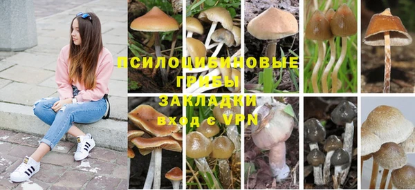 мет Алзамай