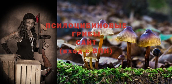 мет Алзамай