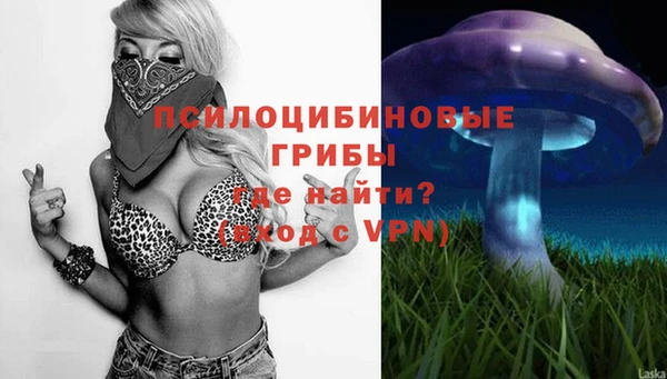 кокс Абаза