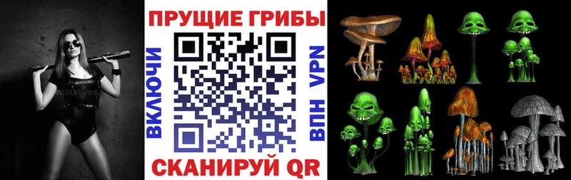 где купить наркоту  Якутск  Галлюциногенные грибы MAGIC MUSHROOMS 